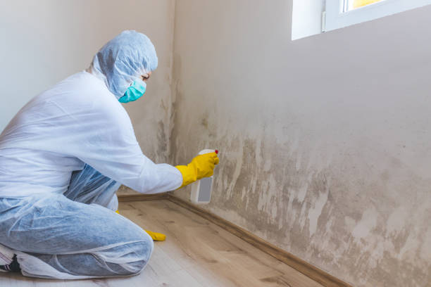 Mold inspector in Hamilton performing thermal imaging